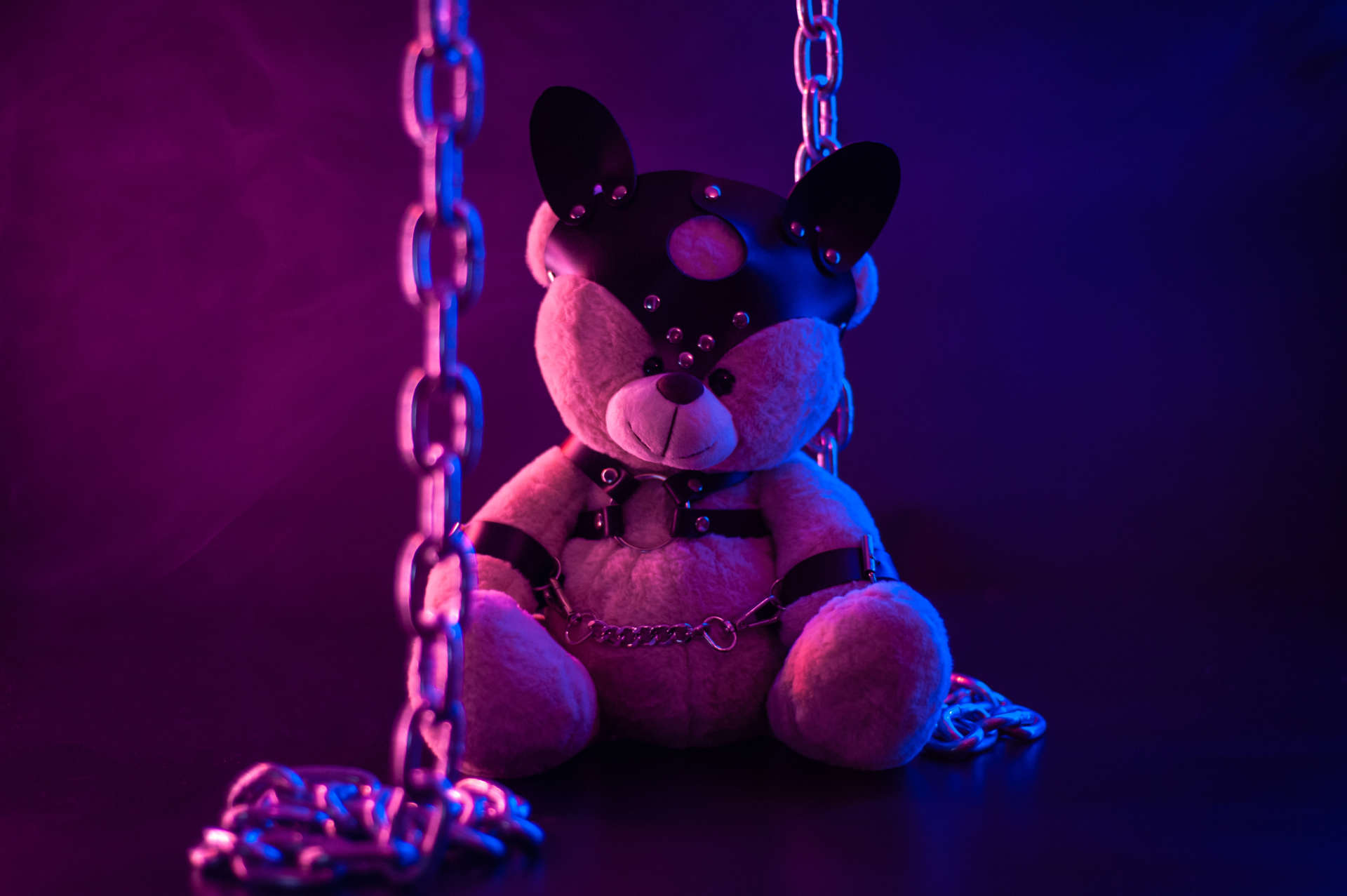 toy bear dressed in BDSM Toys