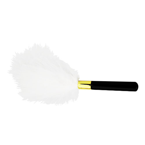 Bound to Play. Feather Teaser - Image 2