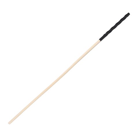 Bound to Please Spanking Cane